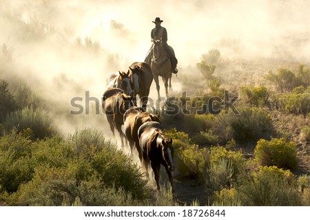 Single cowboy guiding a line of horses through the desert