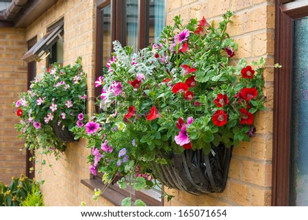 Wall Hanging Baskets wall mounted hanging baskets with a range of summer flowers stock Wall Hanging Baskets wall mounted hanging baskets with a range of summer flowers stock