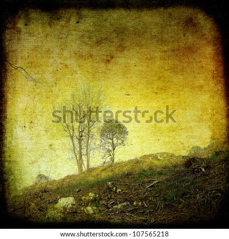 Grunge rural landscape with group of trees