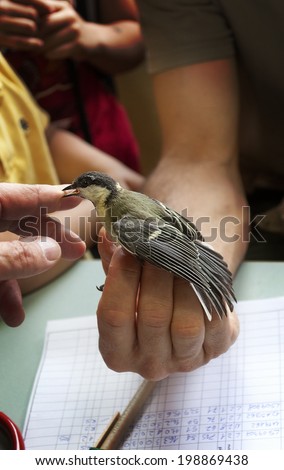 control of migration, ornithologist records a bird