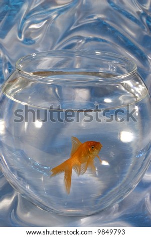 Goldfish in a Bowl on a Moire Illusion film Background