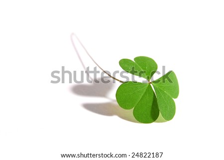 clover hindu singles All spiritual lighting all spiritual lighting single white spell candle 135 clover hill drive stamford. clover hindu singles All spiritual lighting all spiritual lighting single white spell candle 135 clover hill drive stamford.