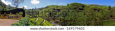 Sri Lanka Tea hills. Tea plantation. Waterfall. Panoramic landscape