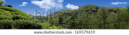 Sri Lanka Tea hills. Tea plantation. Waterfall. Panoramic landscape