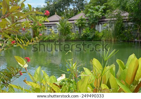 Pacific tropical pond with houses in the background