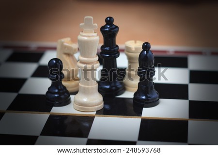 All major black and white chessmen closeup studio shot