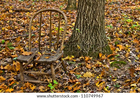 Broken wooden chair sitting in woods next to tree trunk, covered in autumn leaves