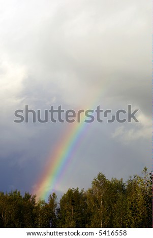 rainbow in the rain