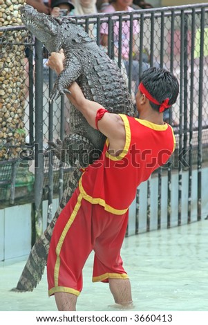 A keeper at a zoo in Thailand wrestles with a crocodile