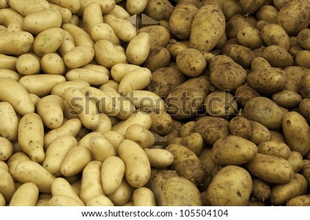 Two different sorts of potatoes piled on a market stand outlay