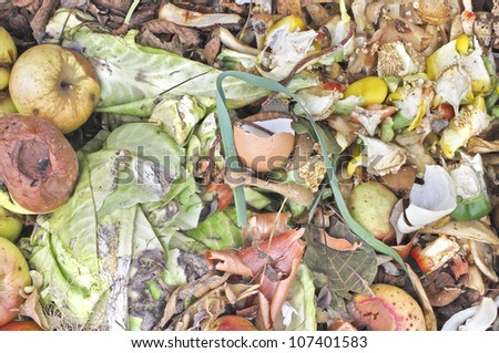 Rotting apples and kitchen waste on a compost heap