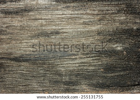 Old wood,cracked wood background, high resolution