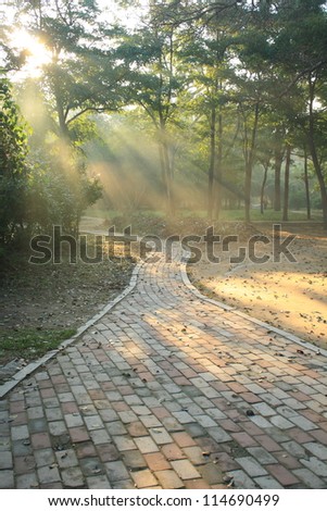 Morning sun beams in the autumn park