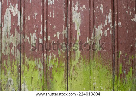 Old reddish brown painted molding wooden door gate