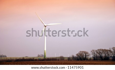 Wind turbines in movement during the sunset in the fields