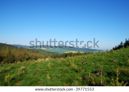 Green meadow between and forest in Tatras, Slovakia