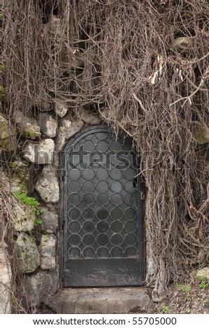black door and old grapevine plant