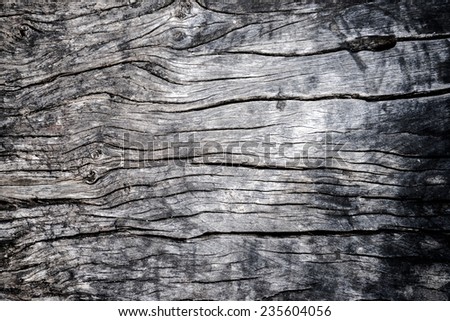Texture of wood in monochrome