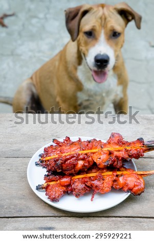 dog looking grilled red chicken in black plate