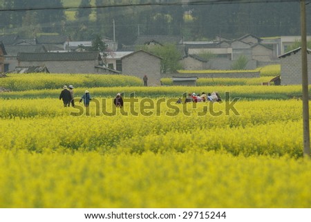 A group of worker on the way to their home at the evening. Photo taken at a rural area in China
