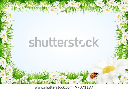 Spring and easter border with daisy, grass and ladybird on blue sky background