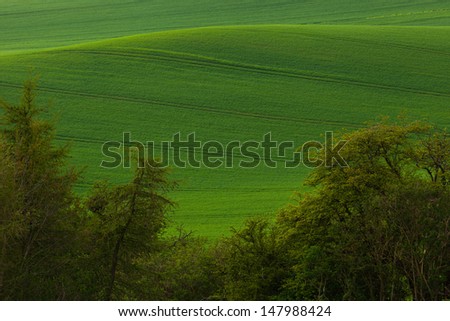 rural scene of new crops with hedges in the foreground in the rolling countryside of the Lincolnshire Wolds, England