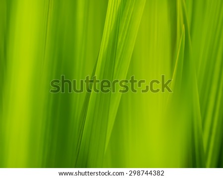 abstract background scene of blurred stems of green grass