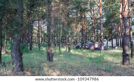 Camping at pine forest. Black tent, car with equipment. Family resting outdoors