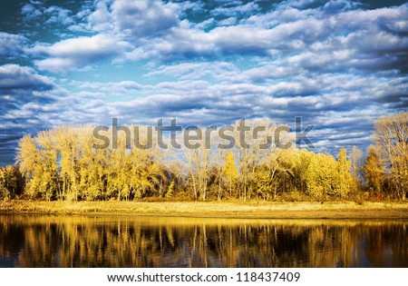 the autumn wood is reflected in water