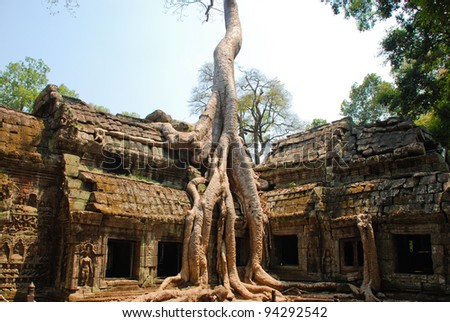 Ta Prohm temple also known as the Tomb Raider temple in the Angkor complex, Cambodia