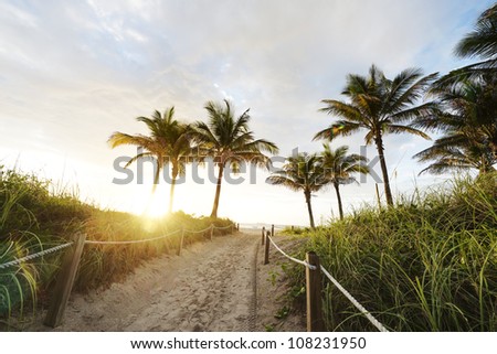 Path to the Beach in Miami