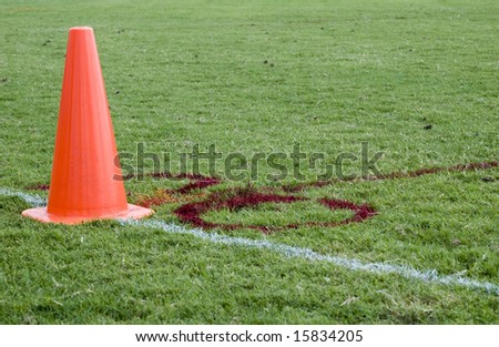 Playing Field with Orange Cone