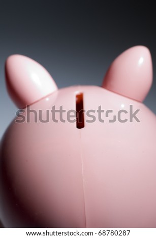 Back of Pink Piggy Bank.