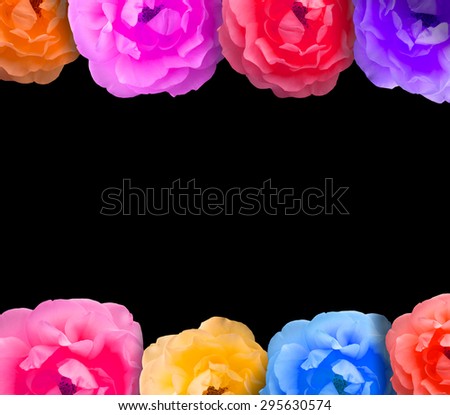 Colorful rose frame for text