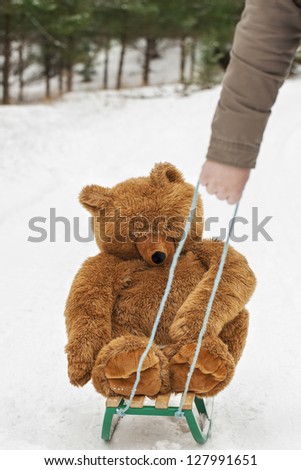 Man pulled sledges with Toy Bear