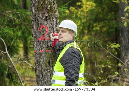 Lumberjack write on tree in forest