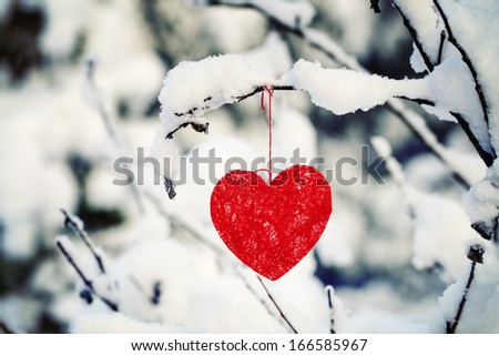 Textile Heart Hanged On A Snow-Covered Forest Bush