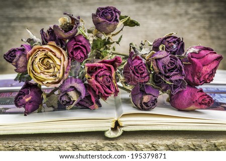 Bouquet of dried roses on old book