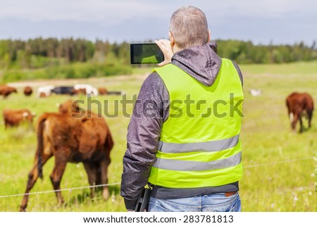 Farmer with tablet PC near the cows at pasture