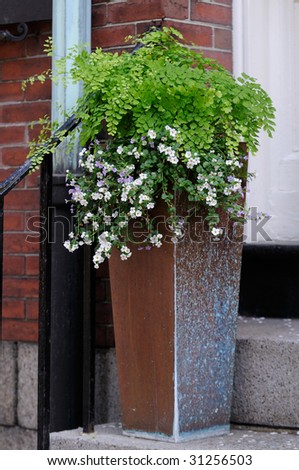 Elegant flower pot on doorsteps framing house entrance