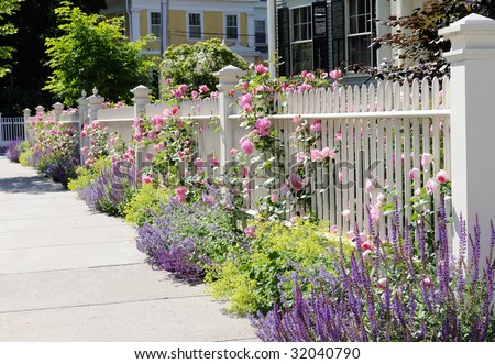 White fence with flowers. Pink roses, blue sage, purple catmint, green and yellow lady\'s mantel. Colorful and elegant.