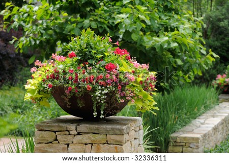 Beautiful flower pot with geranium, calibrachoa (million bells), sweet potato vine, framing house entrance