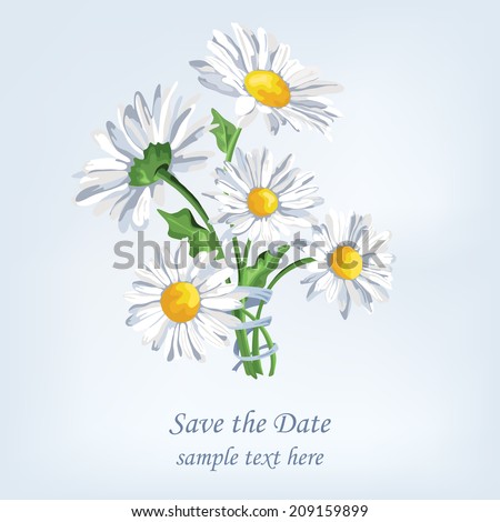 Bouquet camomile with ribbon. Greeting card with beautiful flowers. Summer background. Card for Mothers Day.