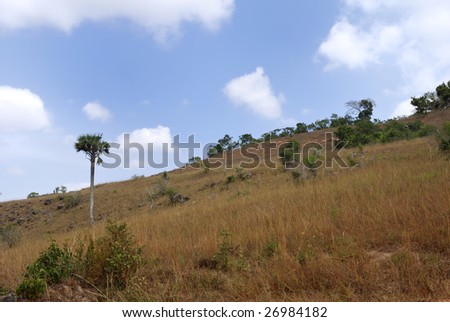 Safari landscape Kenya