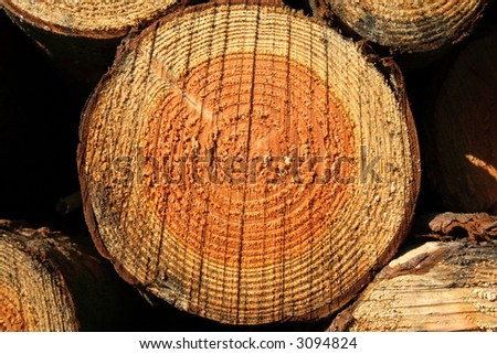 Photos Of Logs