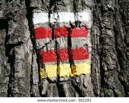 Painting lines on a tree