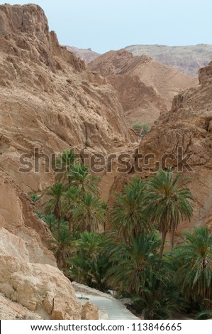Mountain oasis Chebika is situated at the border of Sahara, Tunisia, Africa. Date-palms are  embosomed in Atlas Mountains.