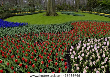 There are many bright flowers on the photo. Such flowerbed is characteristic for Holland parks.