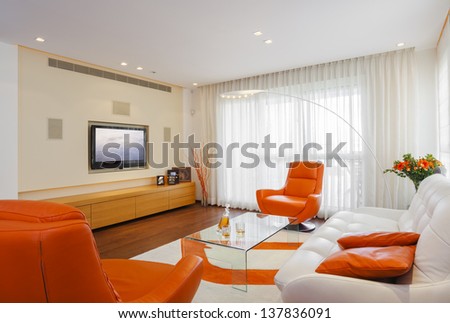 Luxury Modern Living Room