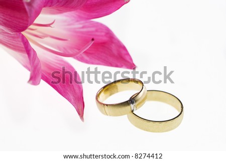 stock photo Closeup of wedding bands and red flower on a white background